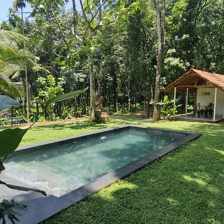 Pool Villa - The Humming Trees, Pala Lālam Exteriér fotografie