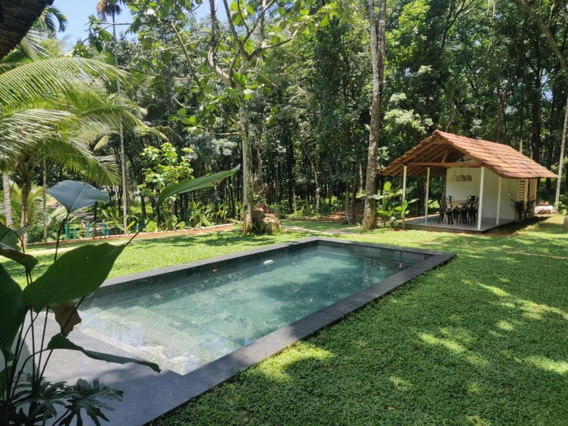 Pool Villa - The Humming Trees, Pala Lālam Exteriér fotografie