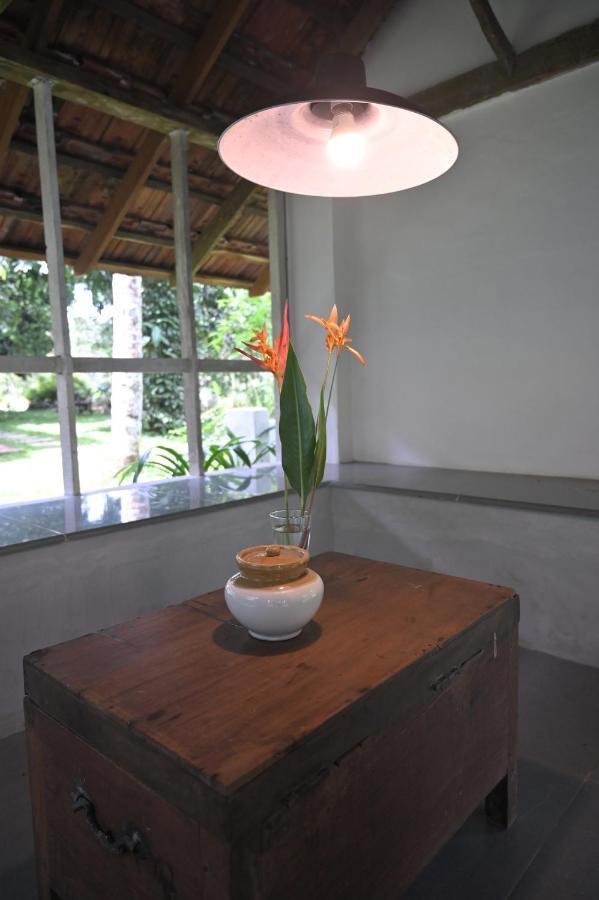 Pool Villa - The Humming Trees, Pala Lālam Exteriér fotografie